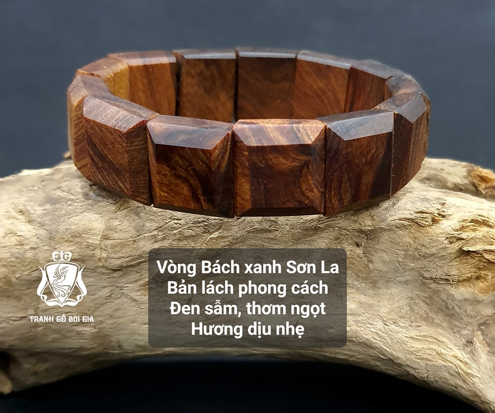 BX. Bản lách đen (3)-min