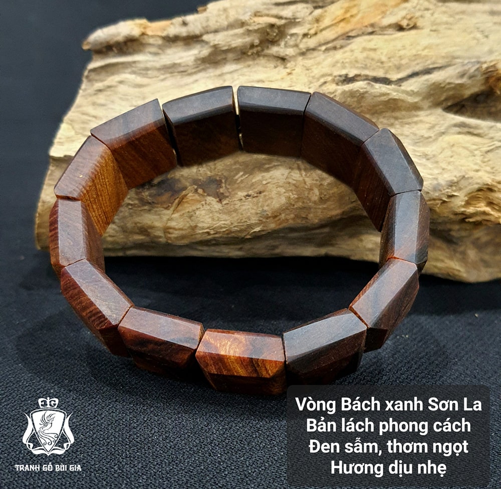 BX. Bản lách đen (5)-min